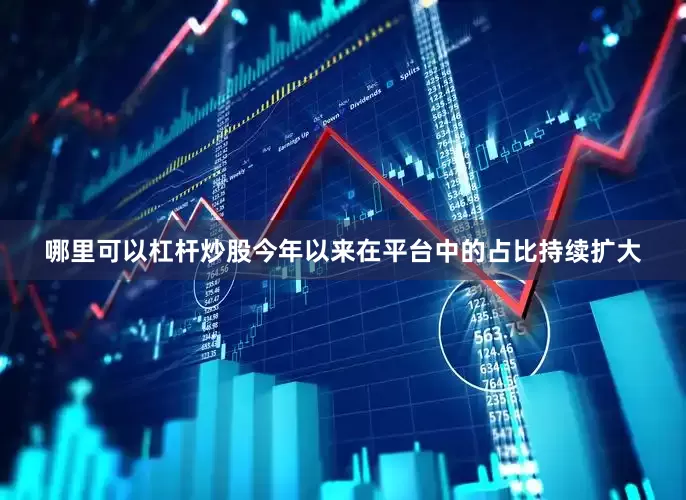 哪里可以杠杆炒股今年以来在平台中的占比持续扩大