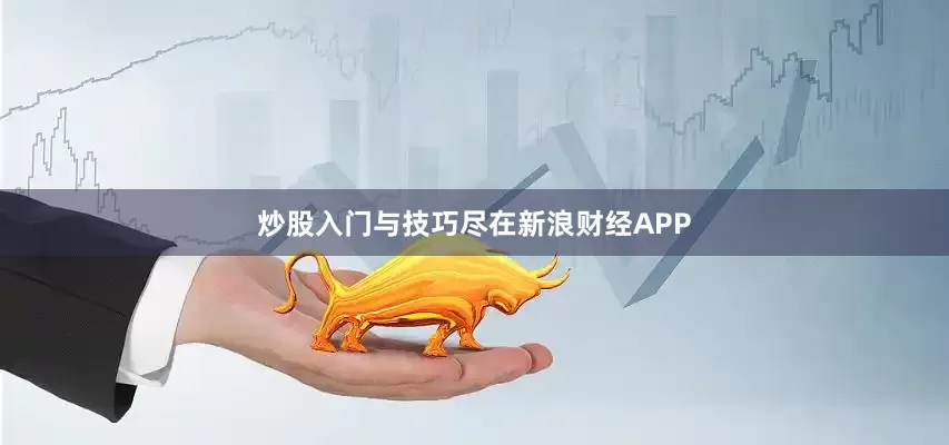 炒股入门与技巧尽在新浪财经APP